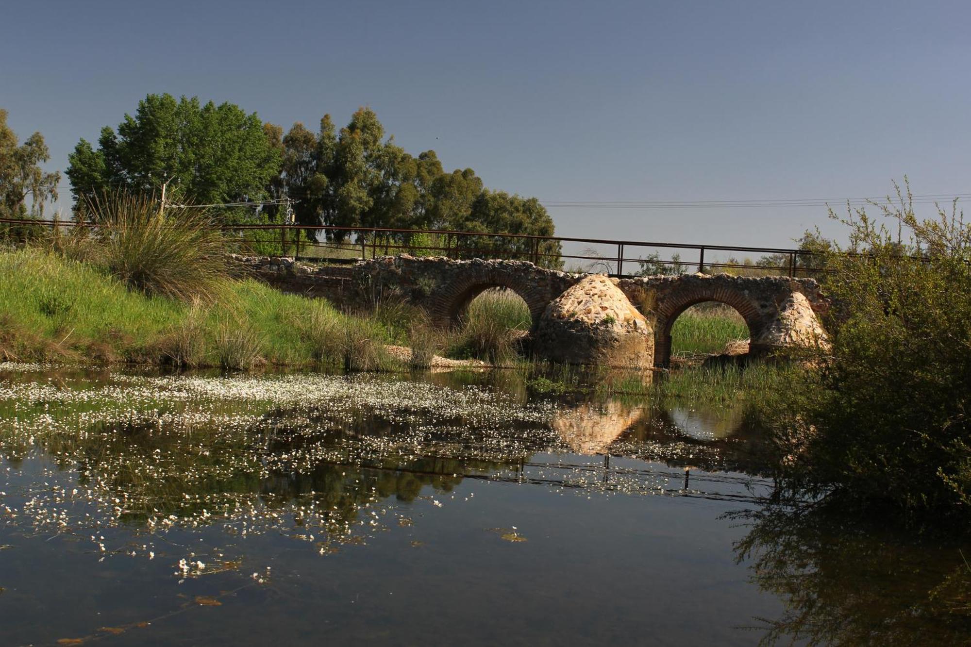 Complejo Turistico Rural Fuente Taray Apartman Malagón Kültér fotó